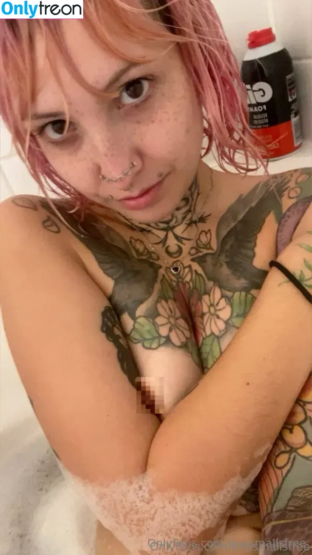 tinasmallsfree голая photo #0049 (catmeat69420)