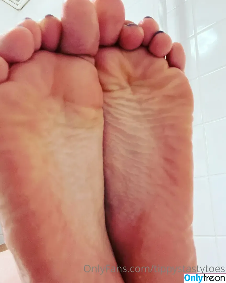tippystastytoes nude photo #0045 (tippystastytoes)