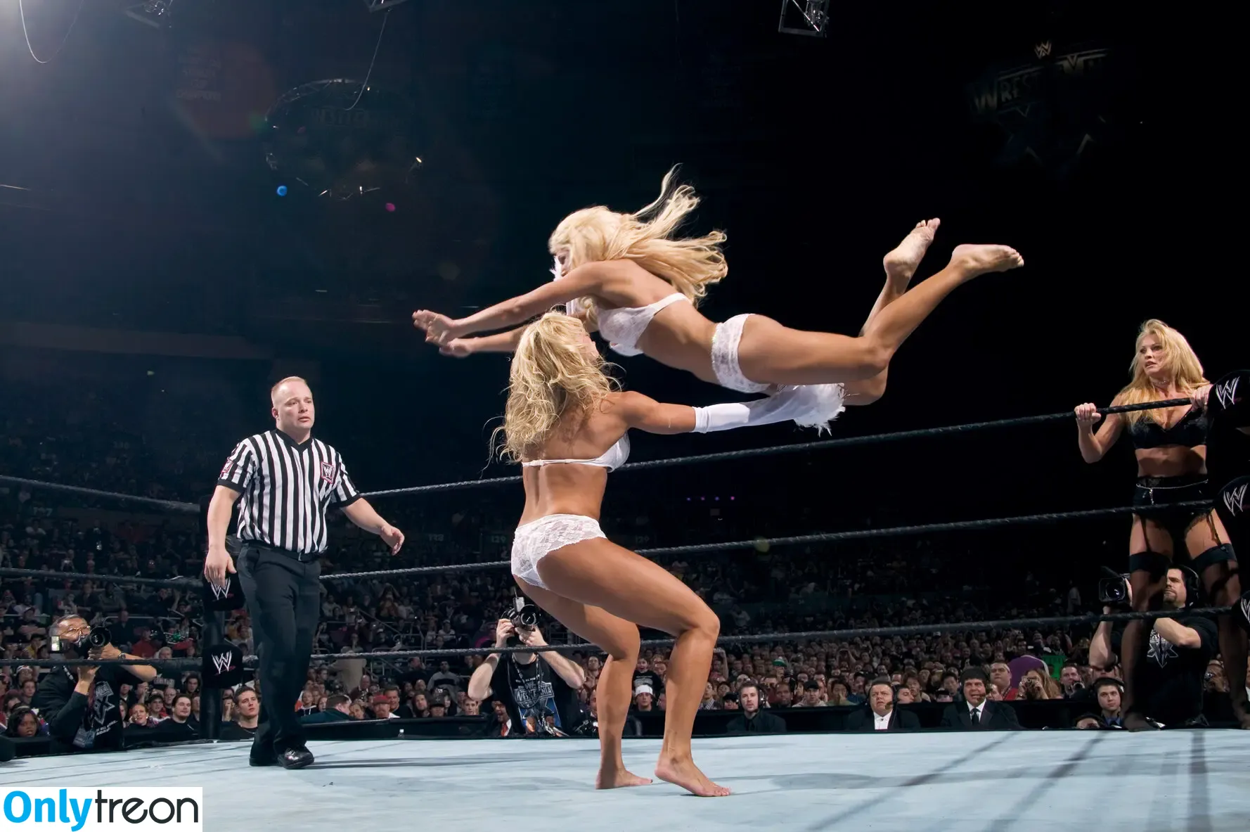 Torrie Wilson голая photo #2278 (torriewilson)