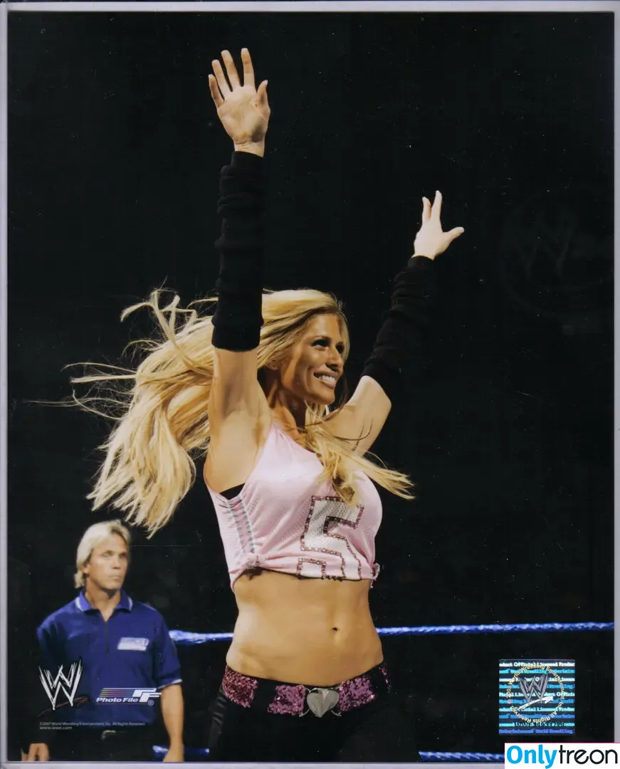 Torrie Wilson голая photo #2410 (torriewilson)