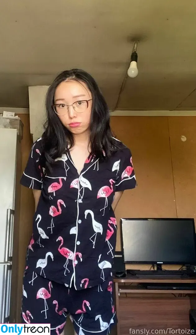 Tortoize nude photo #0120 (smoltortoise / tortoise)