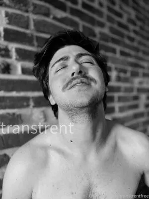 transtrentfree / toesaintfree фото голая #0048