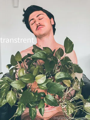 transtrentfree / toesaintfree фото голая #0117