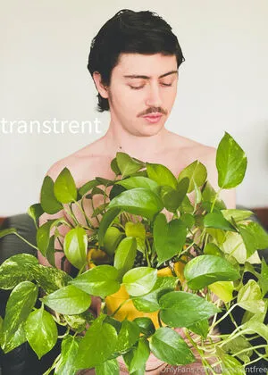 transtrentfree / toesaintfree фото голая #0118
