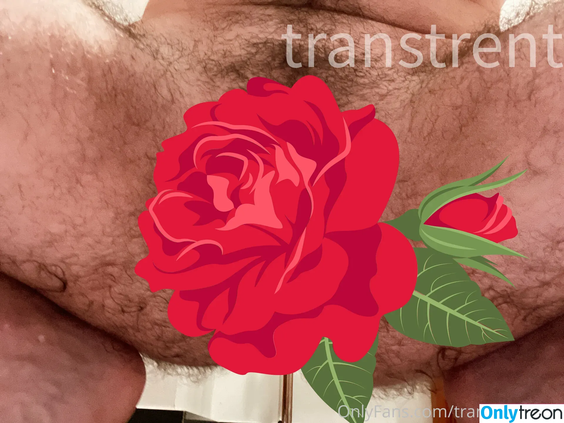 transtrentfree голая photo #0070 (toesaintfree)