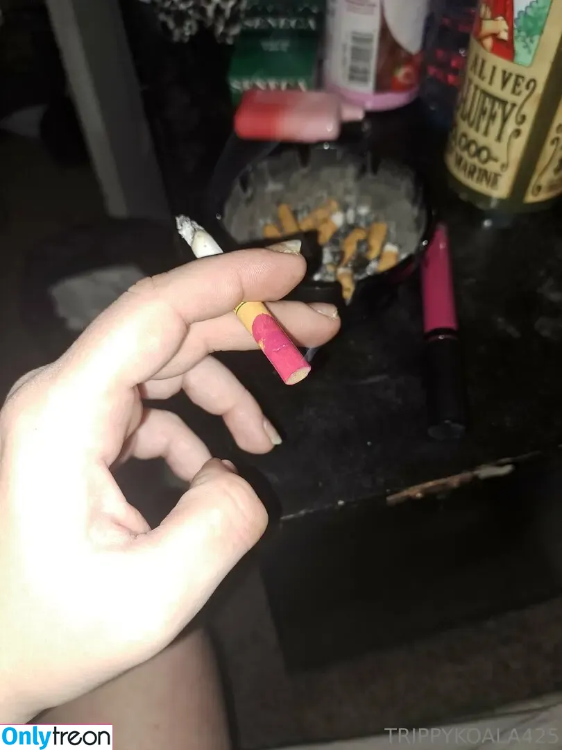 trippykoala425 nude photo #0006 (trippykoala425)
