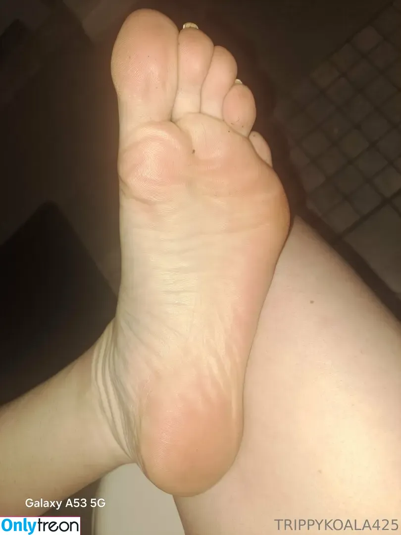 trippykoala425 nude photo #0079 (trippykoala425)