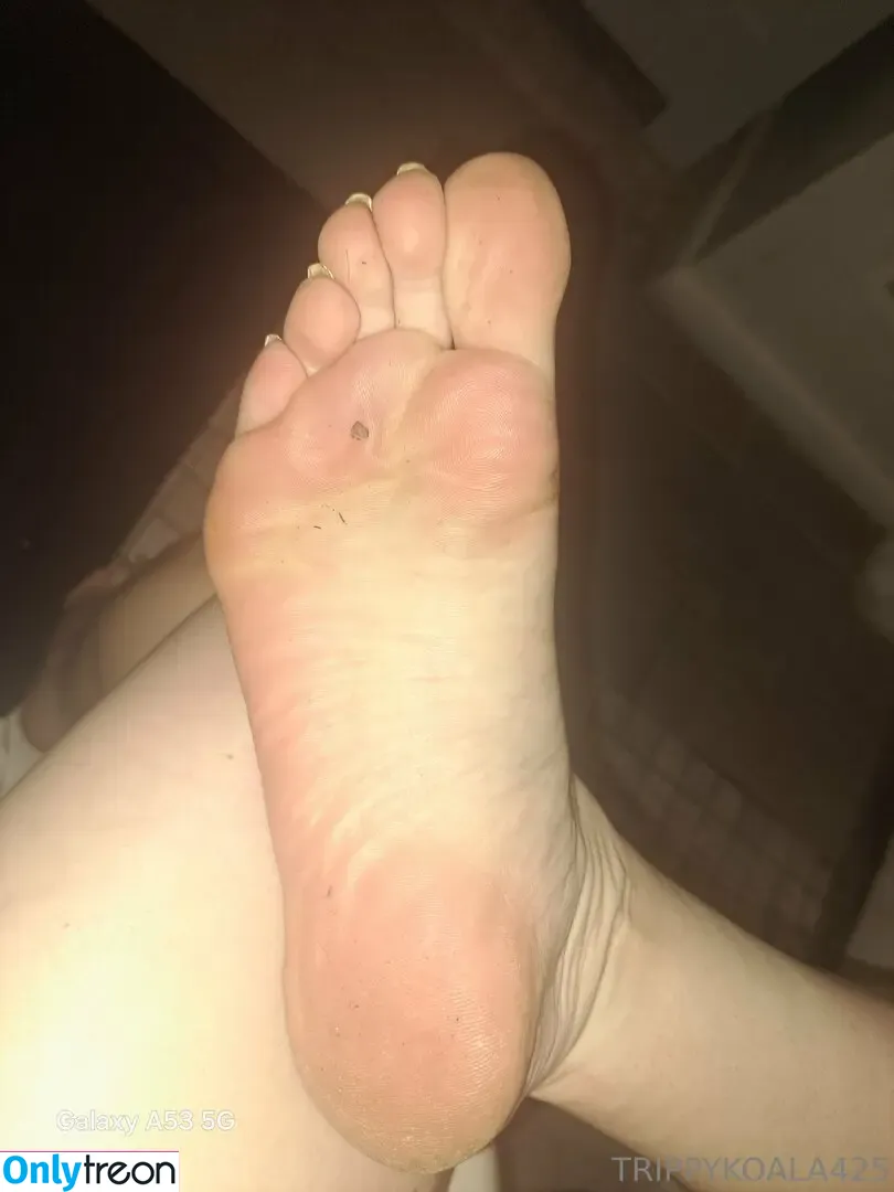 trippykoala425 nude photo #0080 (trippykoala425)