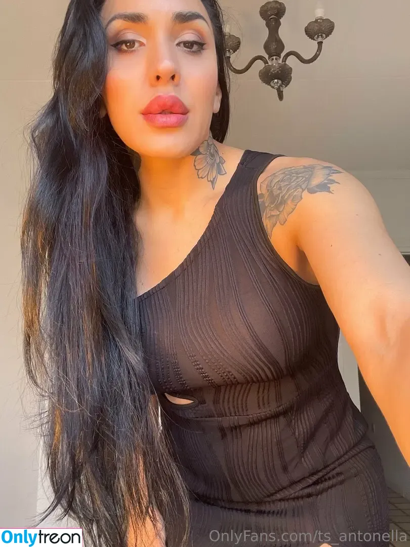 Ts.antonella nude photo #0050 (soyantonellag / ts_antonella)