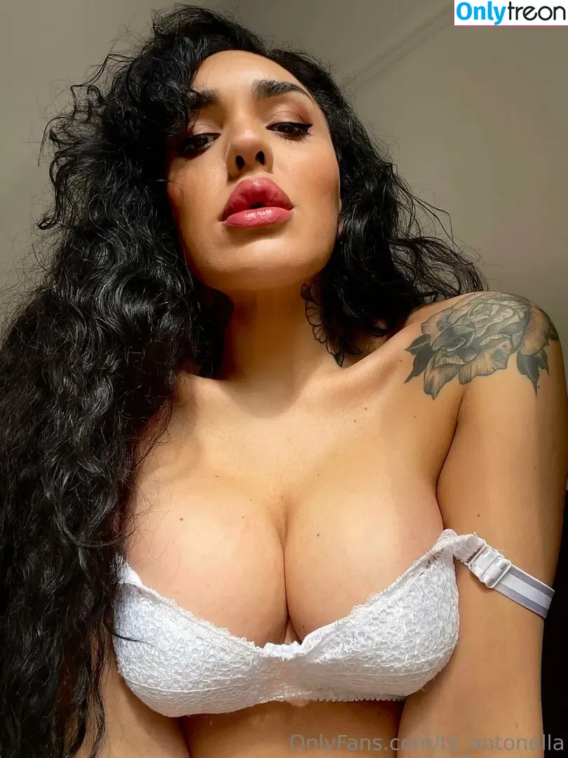 Ts.antonella nude photo #0052 (soyantonellag / ts_antonella)