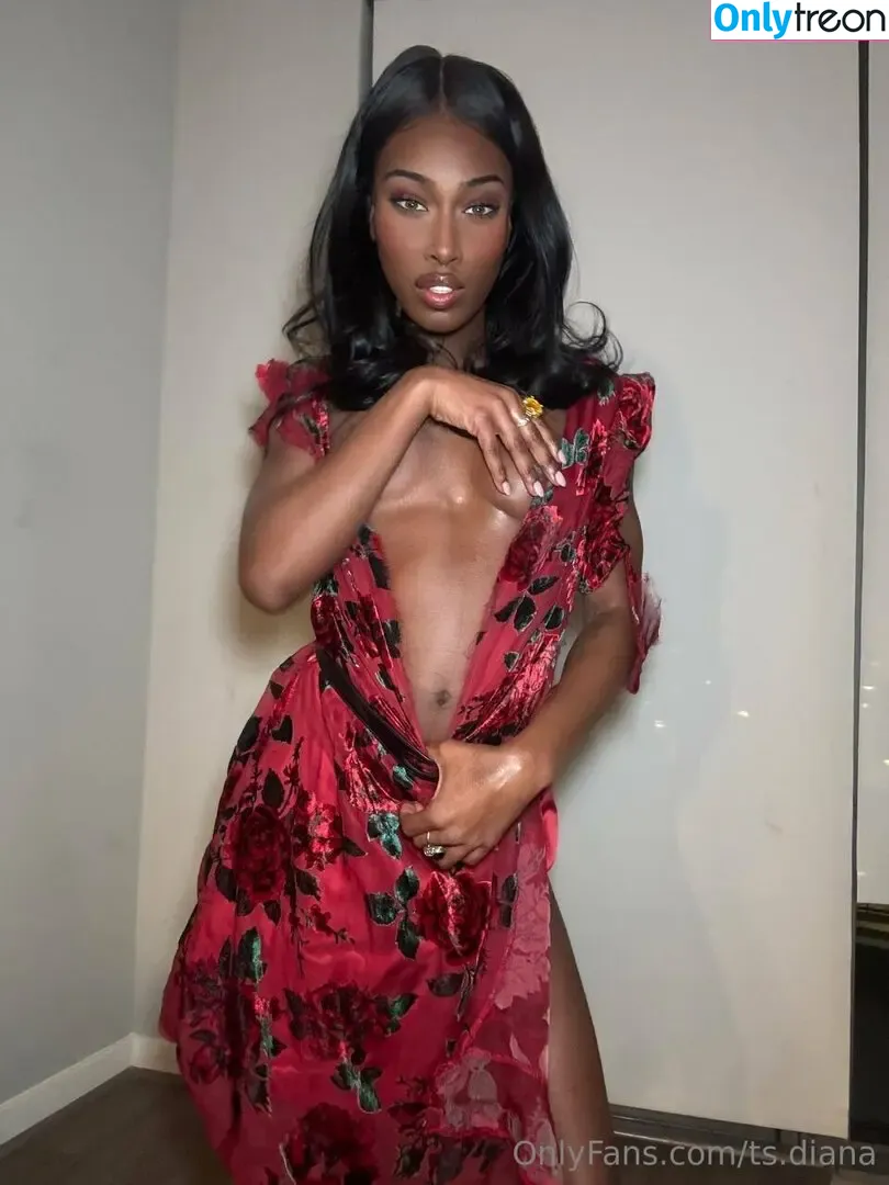 ts.diana nude photo #0026 (diana.t.s)