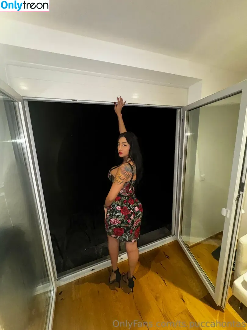ts.puccahontas nude photo #0030 (pucca_foxx_)
