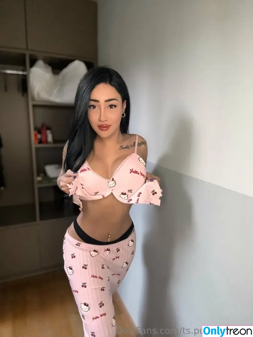 ts.puccahontas nude photo #0039 (pucca_foxx_)