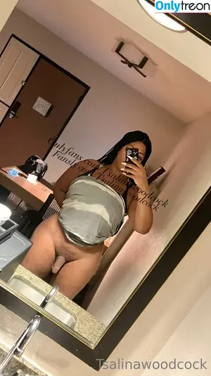 TSAlinaWoodcock / TSMostHated / TheRealTSAlina / reel nude photo #0018