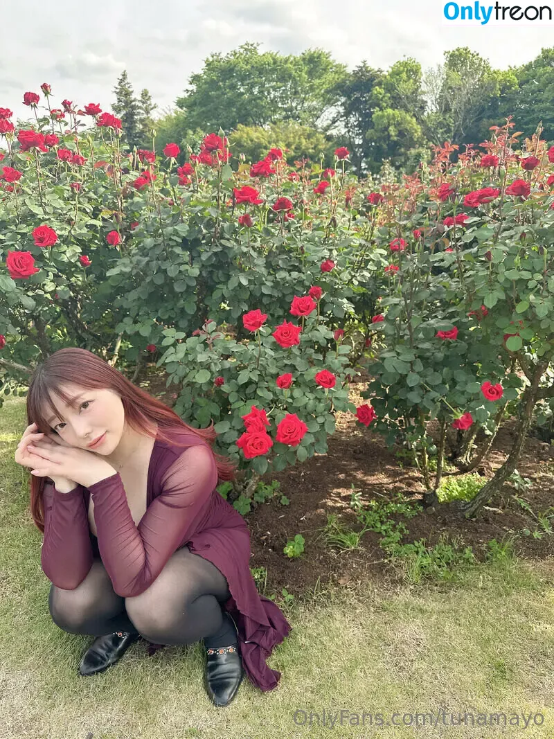 Tunamayo голая photo #0951 (T_utero / Yua Sakuya / tsunamayo / tunamayo113)