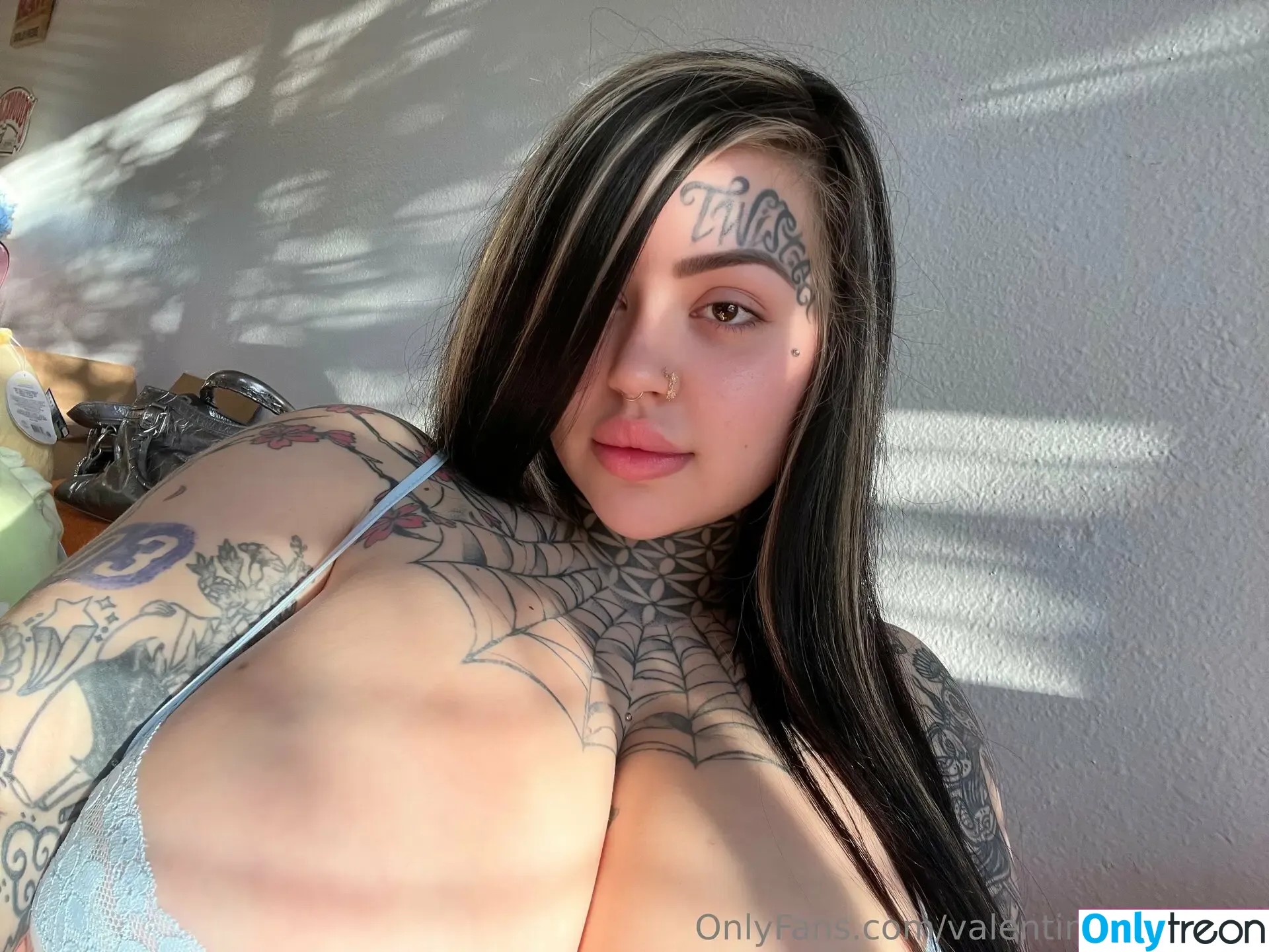 valentinevixen777 nude photo #0156 (facetatprincess)
