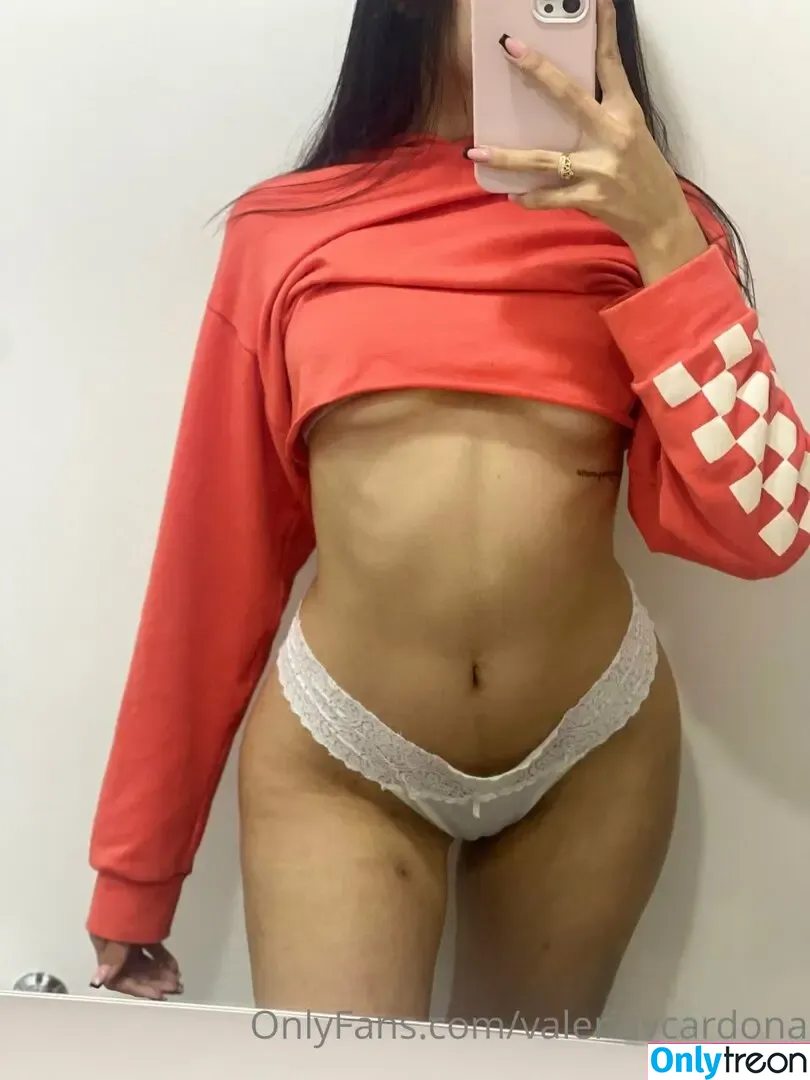 Valeria Cardona nude photo #0217 (valeriacardonaa / valeriavcardona)