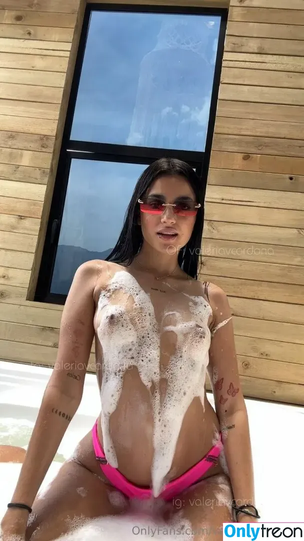 Valeria Cardona nude photo #0250 (valeriacardonaa / valeriavcardona)