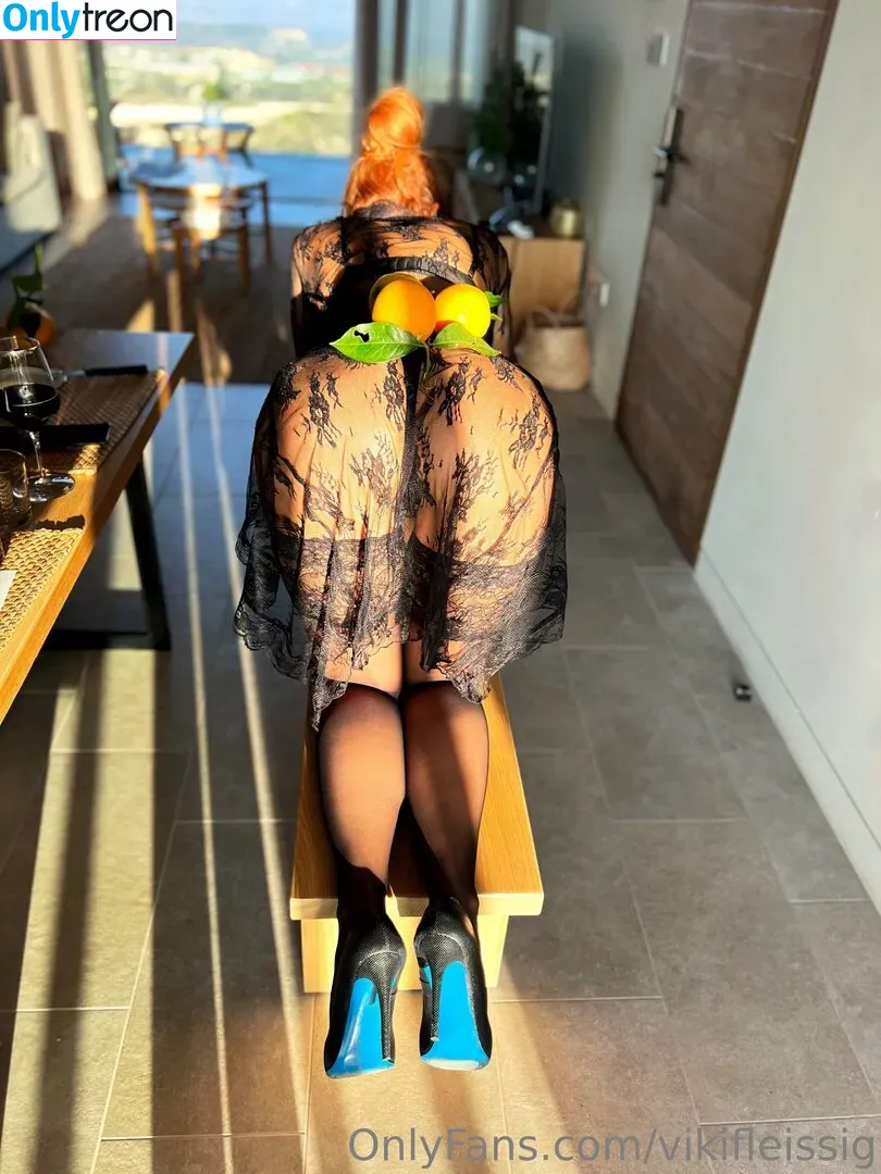 vikifleissig nude photo #0036 (viki__fleissig)