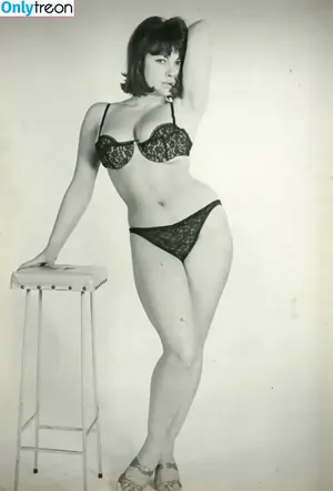 Vintage English Pinups / pinup_vintage_gallery nude photo #0051