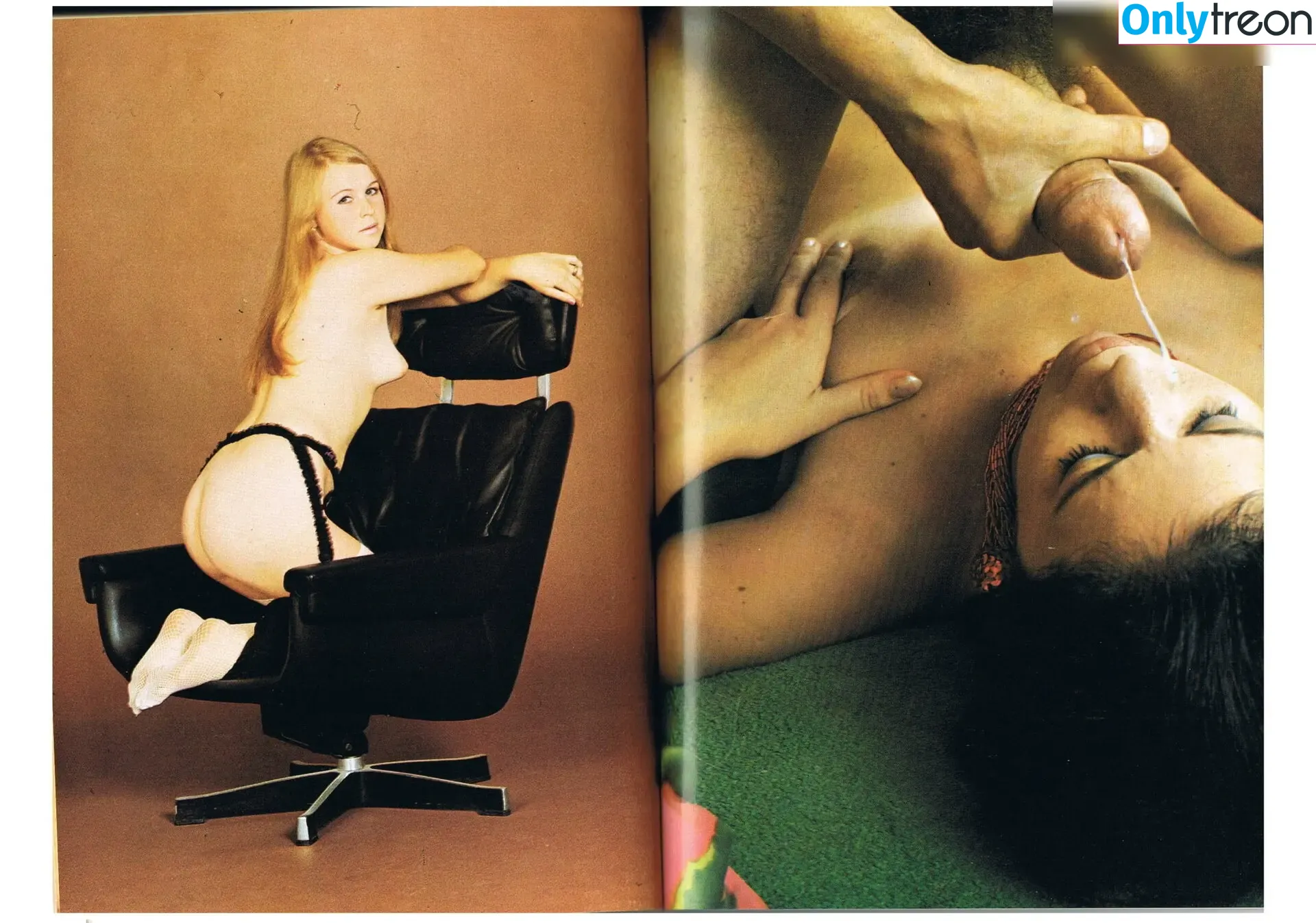 Vintage Erwachsenen Zeitschriften nude photo #0938 (Vintage Erwachsenen Zeitschriften)