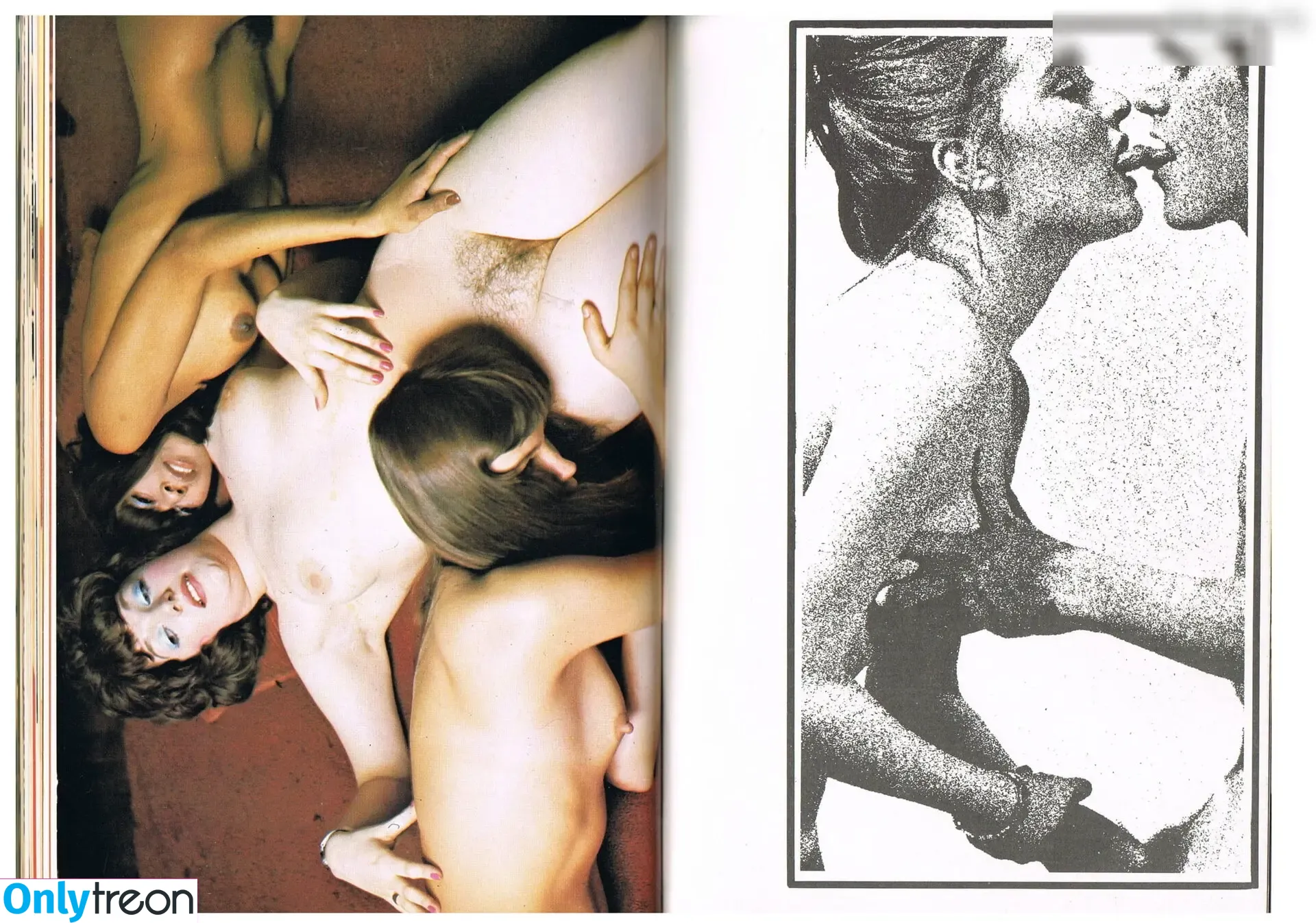Vintage Erwachsenen Zeitschriften nude photo #0960 (Vintage Erwachsenen Zeitschriften)