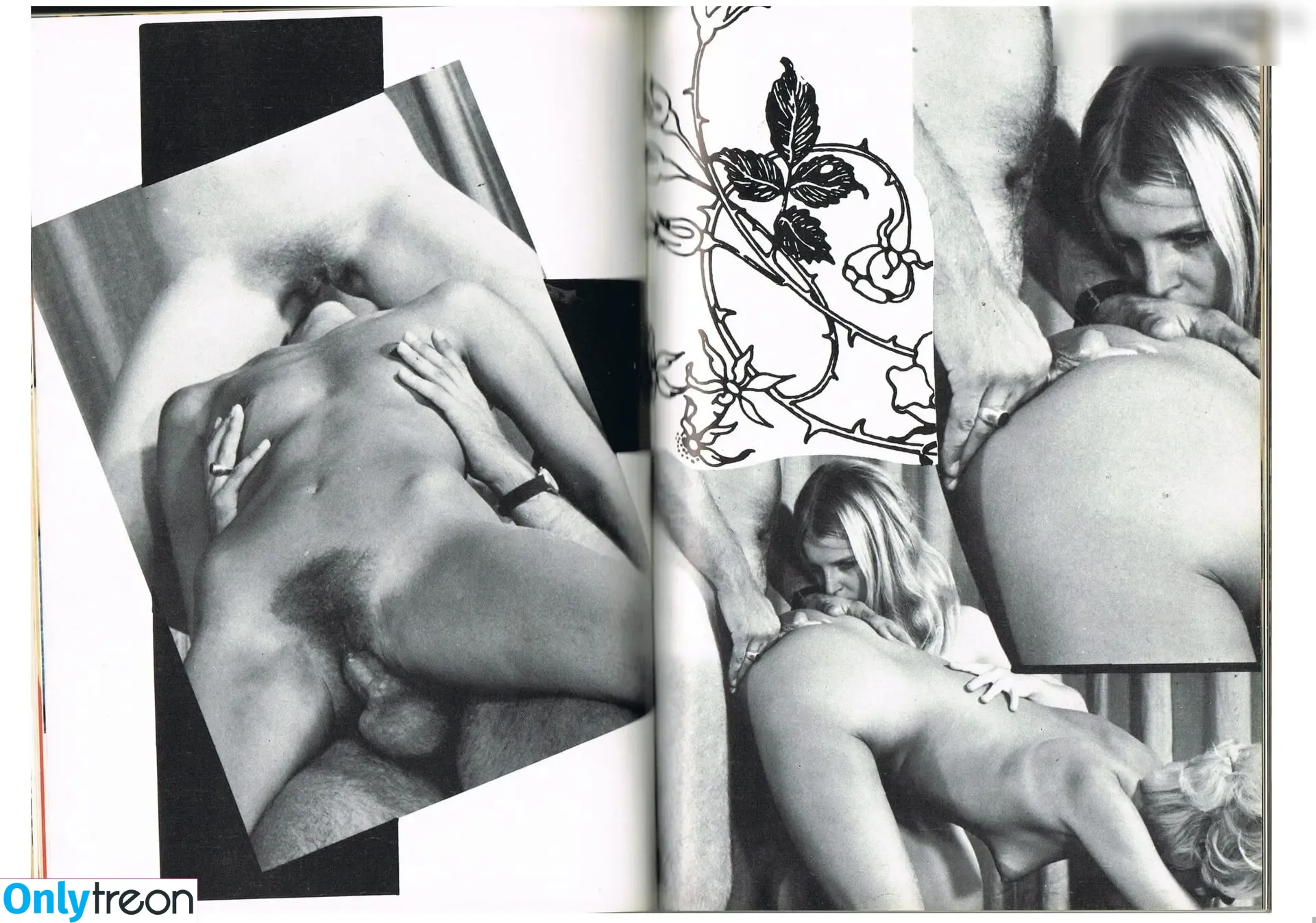 Vintage Erwachsenen Zeitschriften nude photo #0961 (Vintage Erwachsenen Zeitschriften)