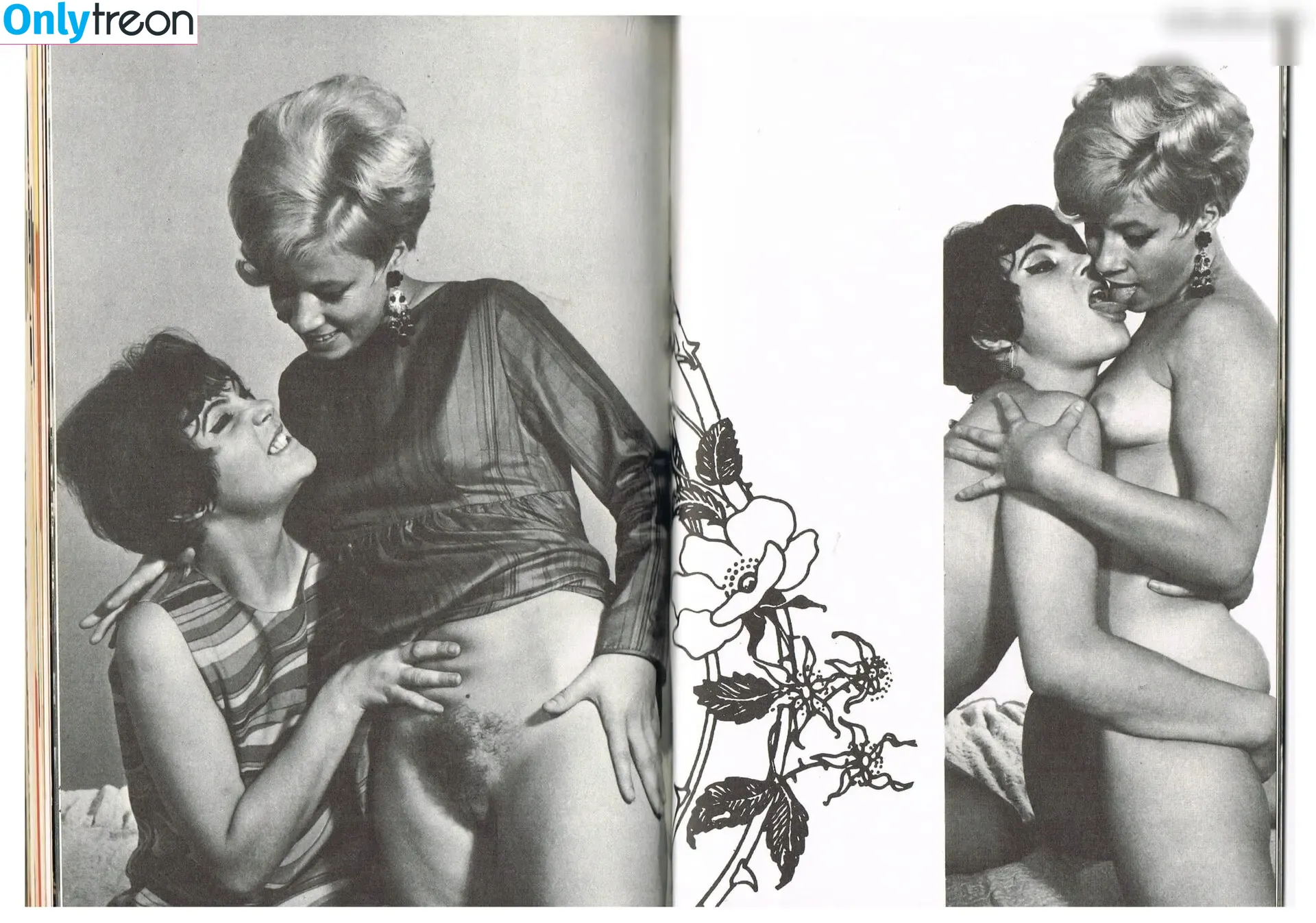 Vintage Erwachsenen Zeitschriften nude photo #0972 (Vintage Erwachsenen Zeitschriften)