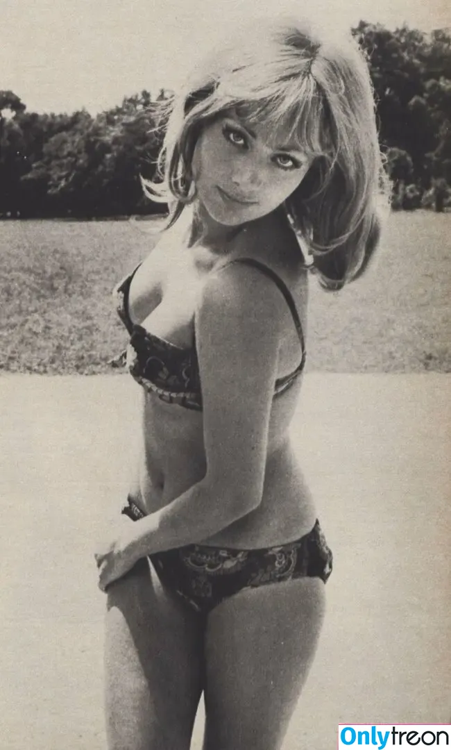 Vintage Starlets голая photo #2597 (Vintage Starlets)