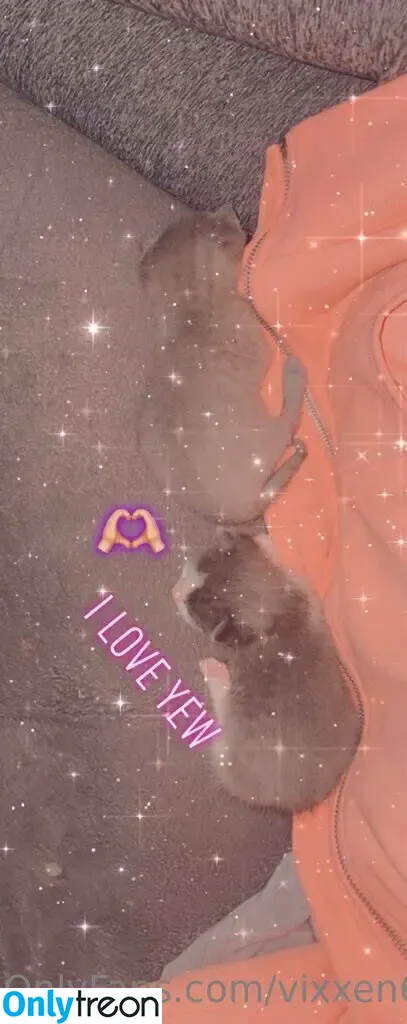 vixxen6969 nude photo #0009 (6ix9ine)