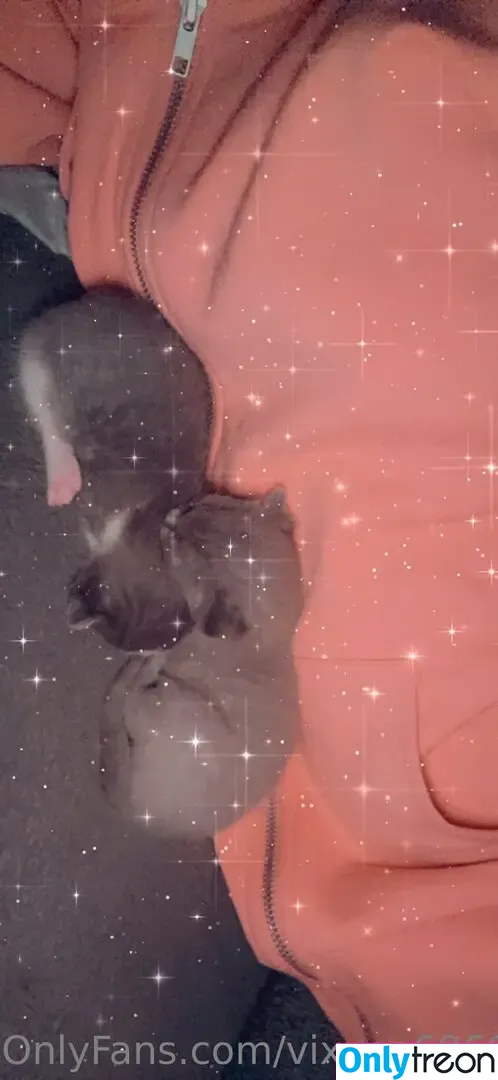 vixxen6969 nude photo #0011 (6ix9ine)
