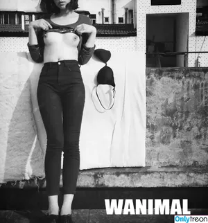 Wanimal Models / wanimal912 фото голая #0464