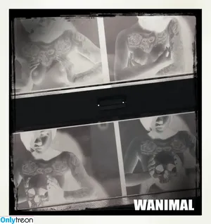 Wanimal Models / wanimal912 фото голая #0465