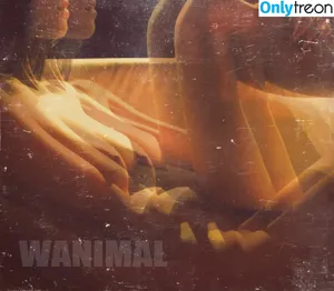 Wanimal Models / wanimal912 фото голая #0534