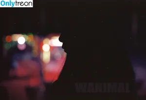 Wanimal Models / wanimal912 фото голая #0536