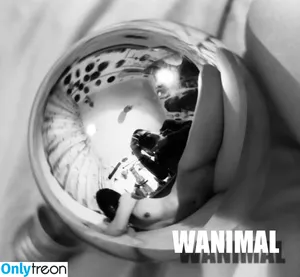 Wanimal Models / wanimal912 фото голая #0542
