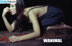 Wanimal Models / wanimal912 фото голая #0645