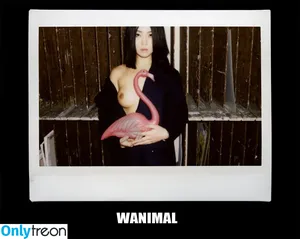 Wanimal Models / wanimal912 фото голая #0673