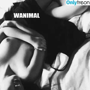 Wanimal Models / wanimal912 фото голая #0762
