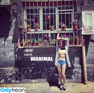 Wanimal Models / wanimal912 фото голая #0876
