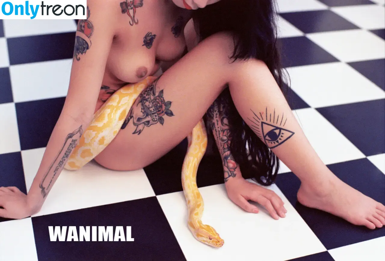 Wanimal Models голая photo #0475 (wanimal912)