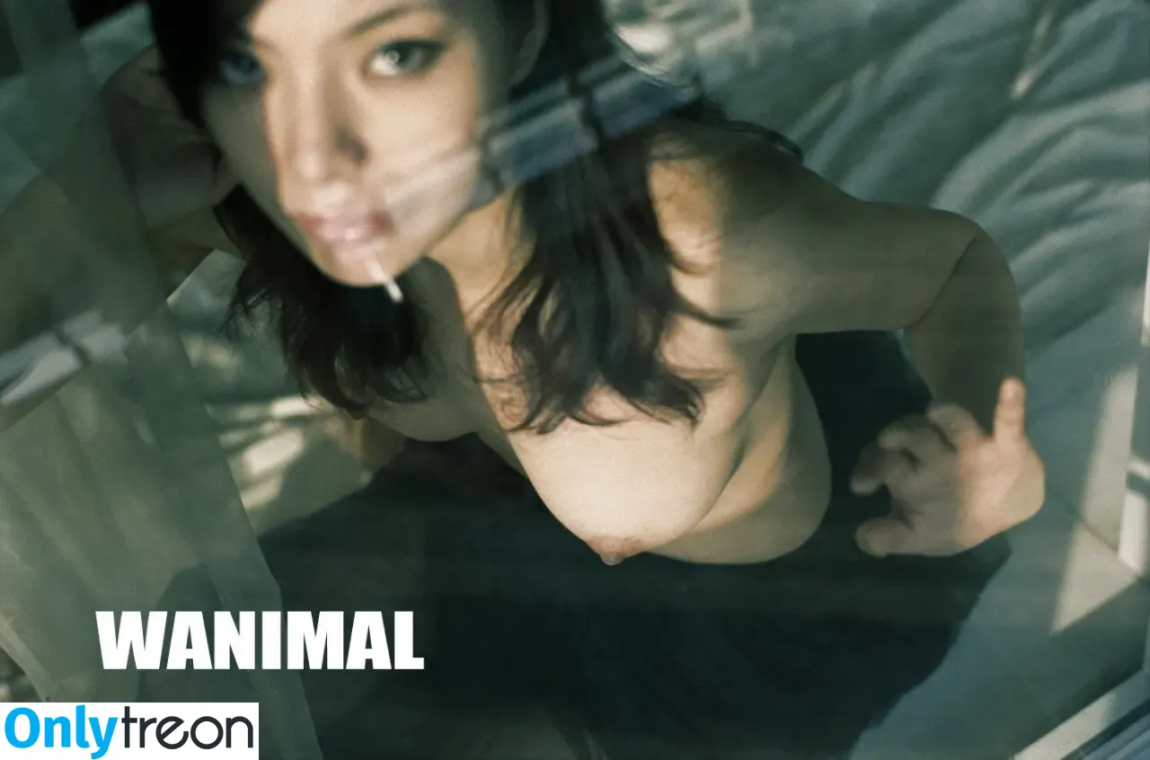 Wanimal Models голая photo #0517 (wanimal912)