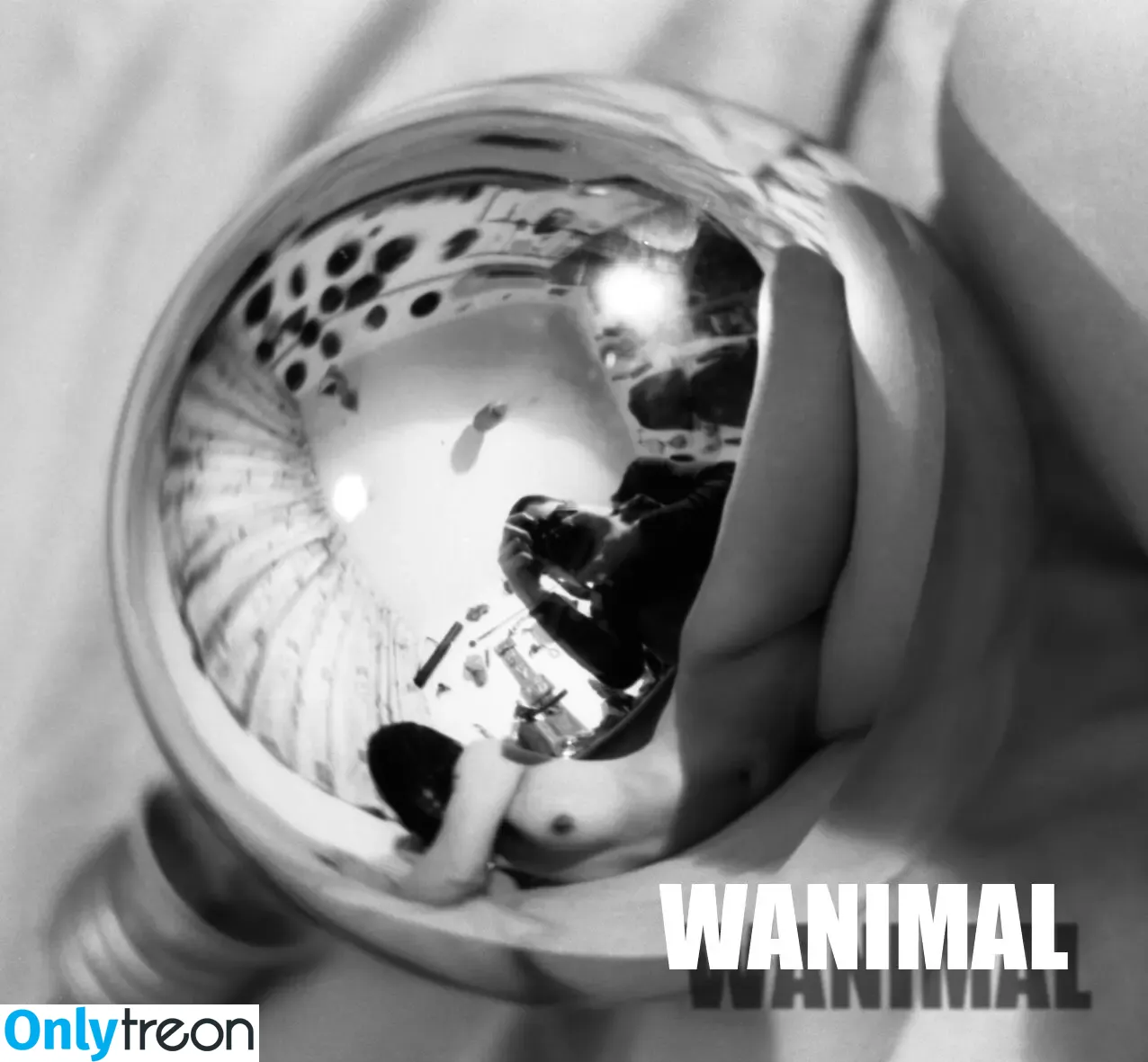 Wanimal Models голая photo #0542 (wanimal912)