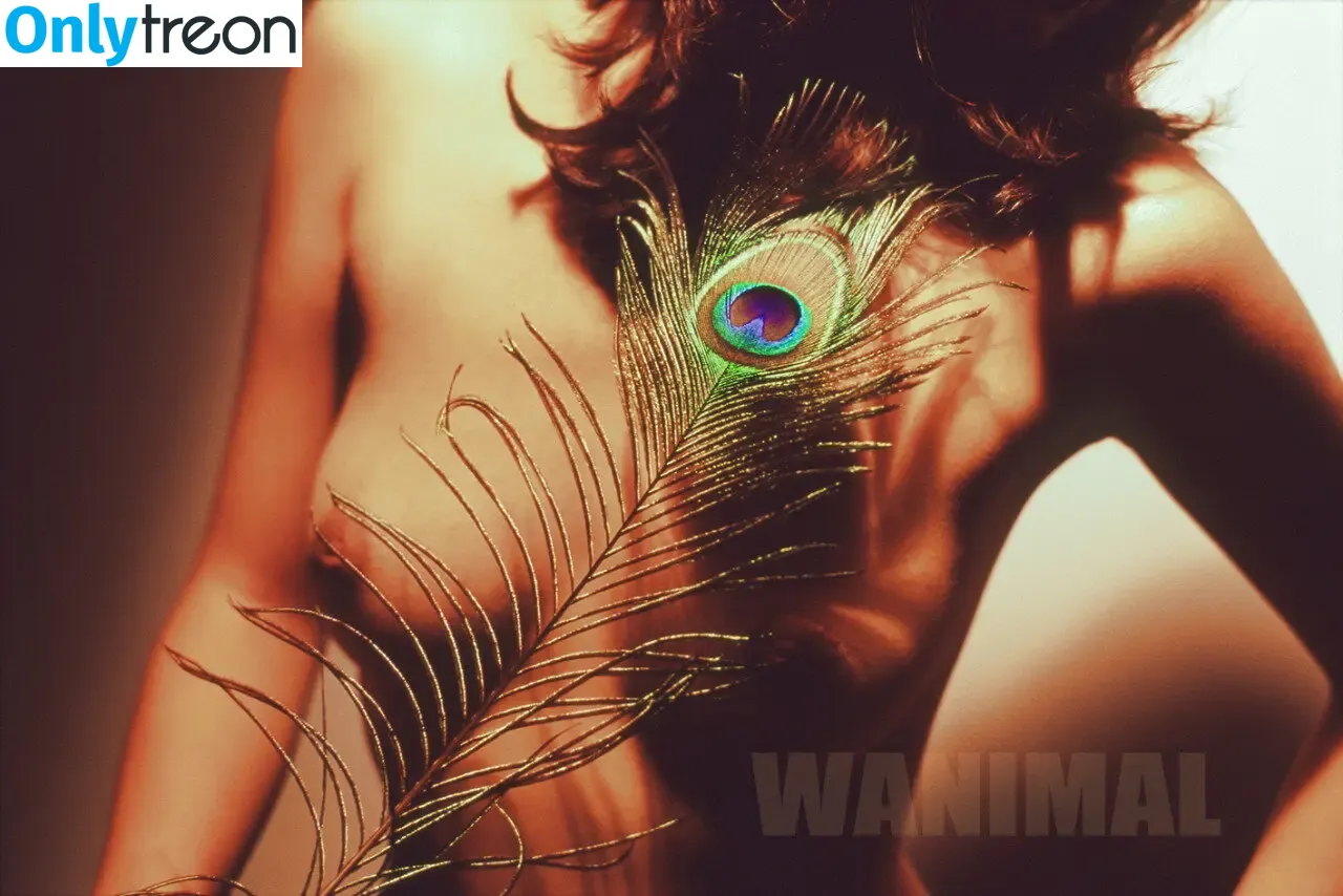 Wanimal Models голая photo #0546 (wanimal912)