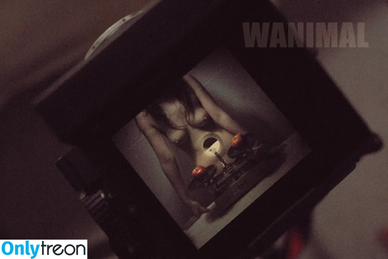 Wanimal Models голая photo #0571 (wanimal912)