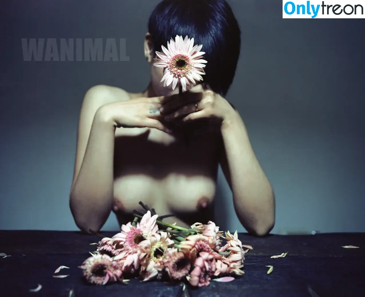 Wanimal Models голая photo #0584 (wanimal912)