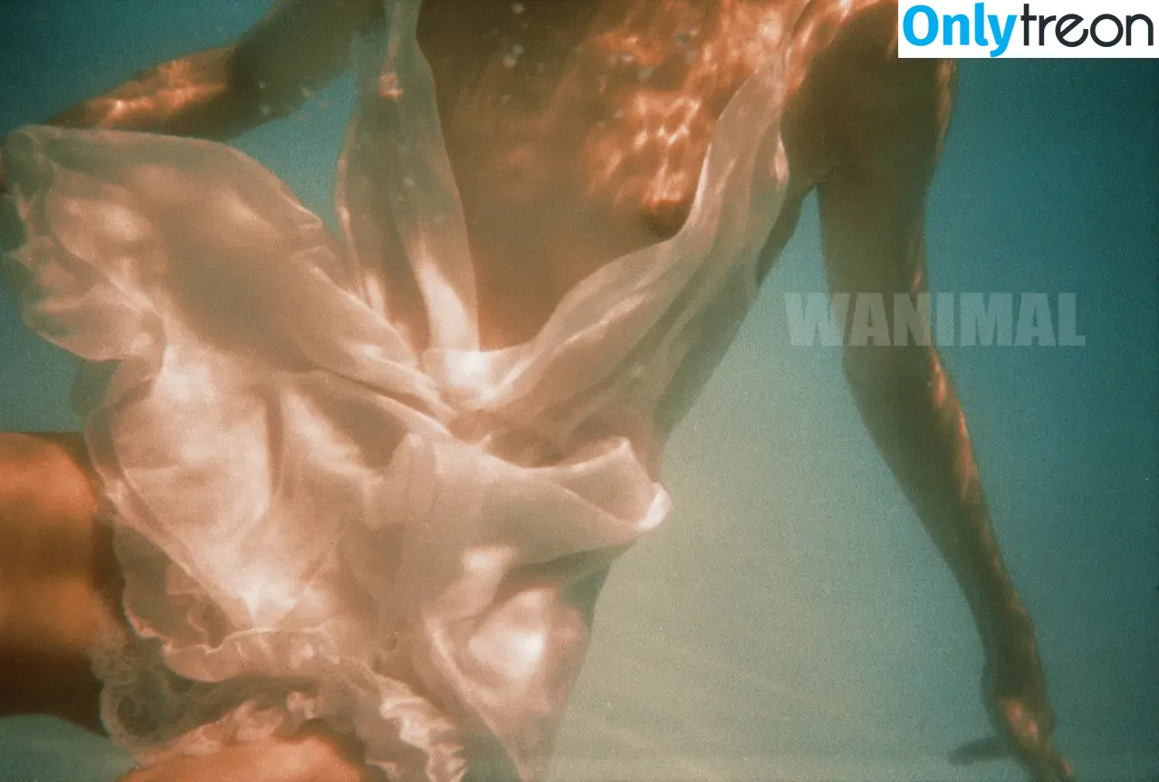 Wanimal Models голая photo #0636 (wanimal912)