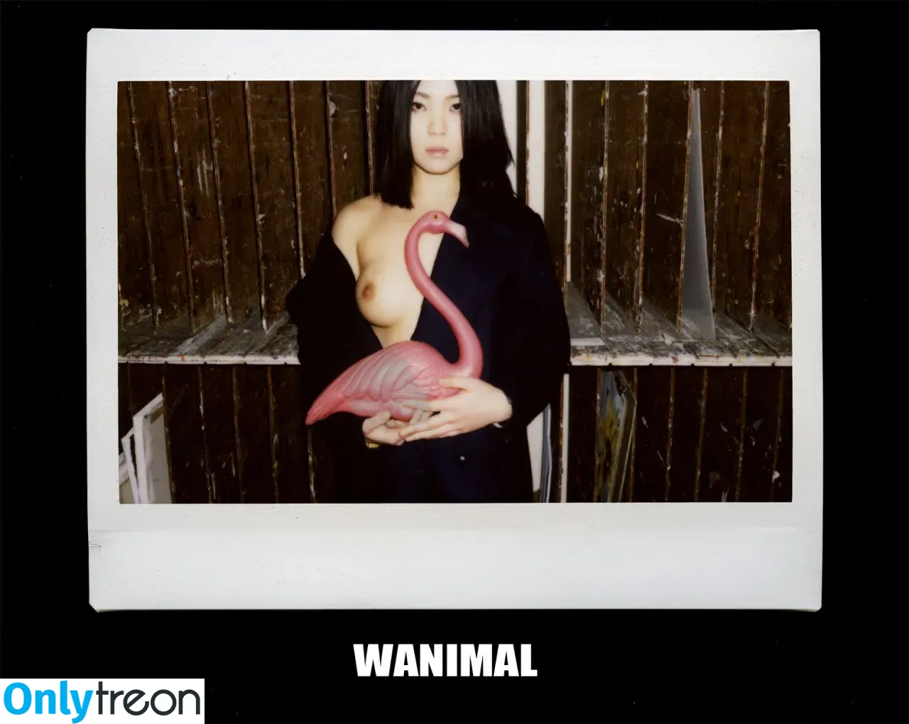 Wanimal Models голая photo #0673 (wanimal912)