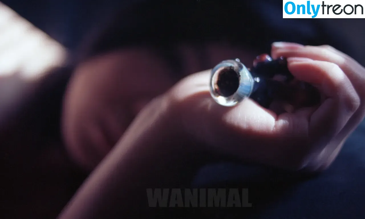 Wanimal Models голая photo #0677 (wanimal912)
