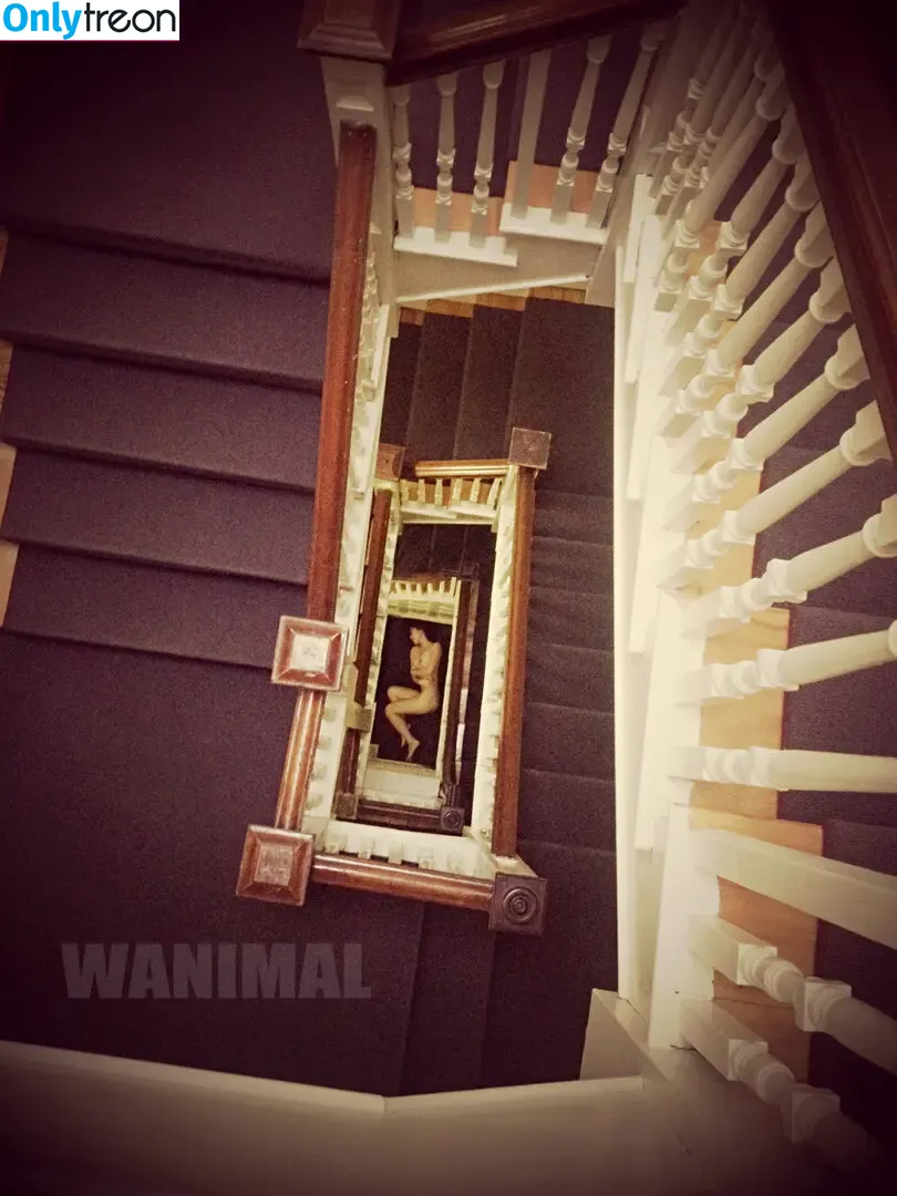 Wanimal Models голая photo #0687 (wanimal912)